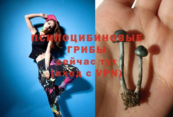 2c-b Абаза