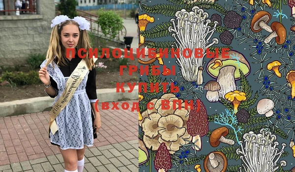 бошки Абдулино