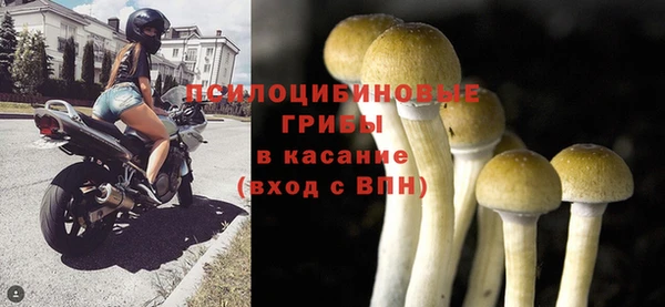 2c-b Абаза