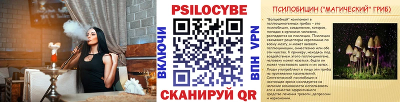 где купить наркотик  Тотьма  Псилоцибиновые грибы GOLDEN TEACHER 